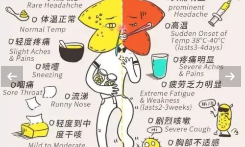 一正痛消贴膏属于药品类吗-一正痛消贴禁忌网 :分享一正痛消贴膏和一正痛消贴有何不同-一正消痛贴知识
